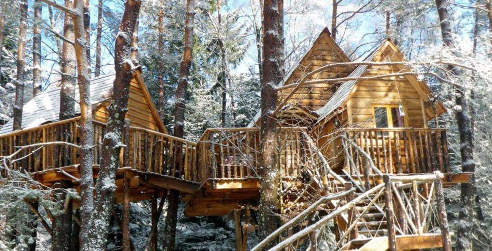 Nids Des Vosges Bed & Breakfast Champdray Eksteriør bilde